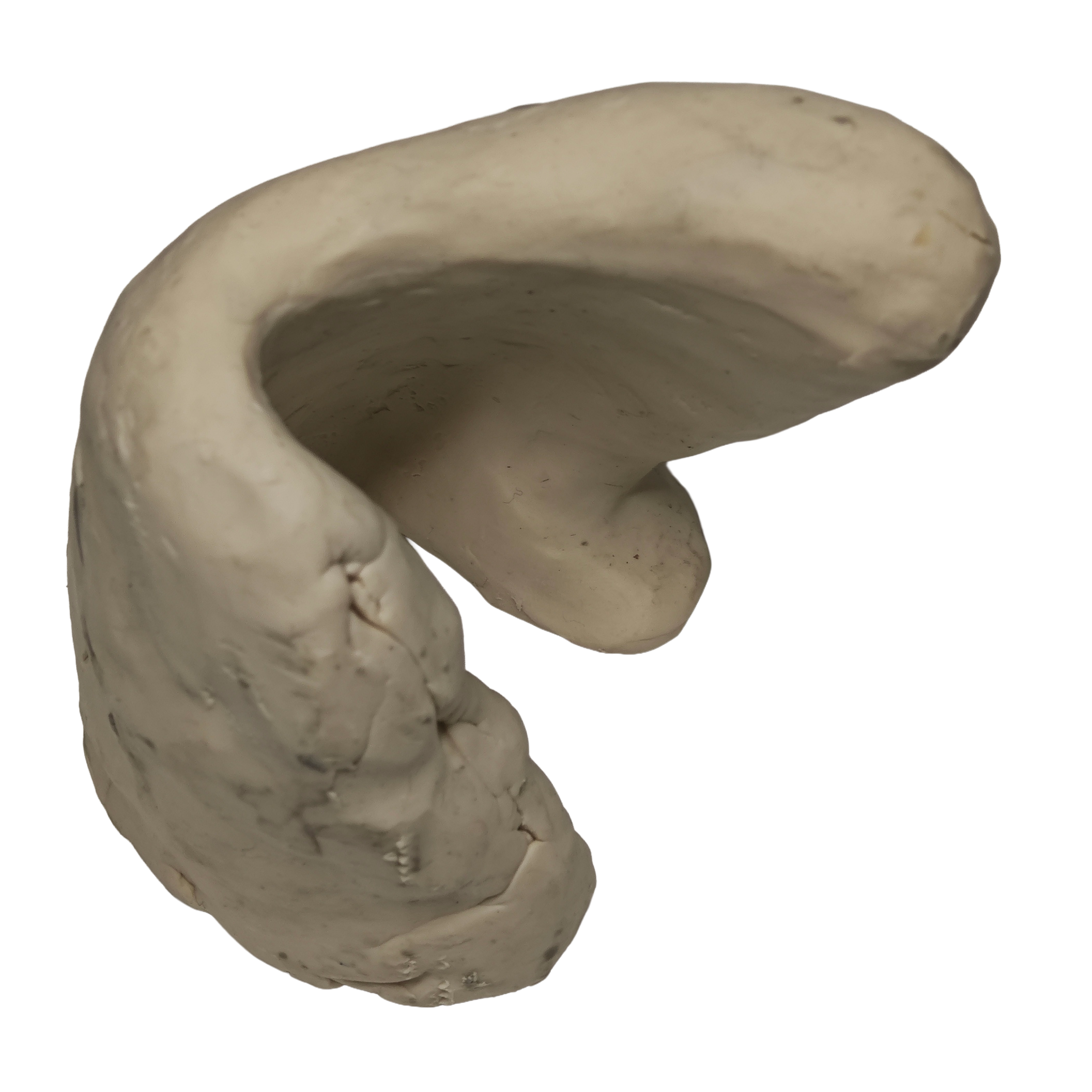Variant D
